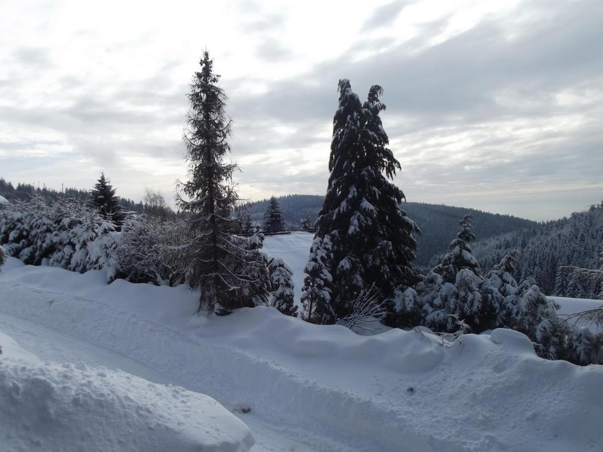 Chata S Vyhledem Jáchymov Dış mekan fotoğraf