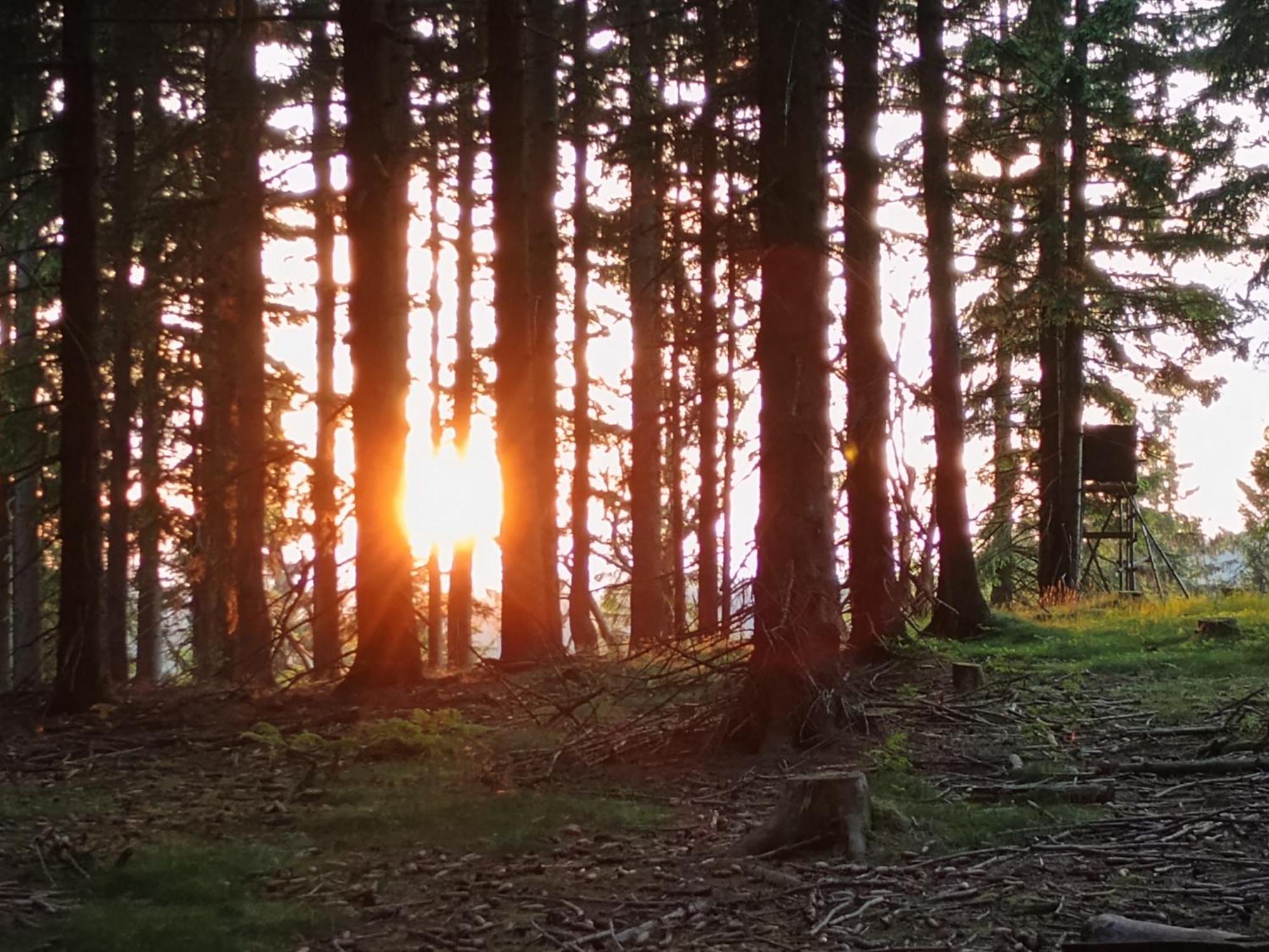 Chata S Vyhledem Jáchymov Dış mekan fotoğraf
