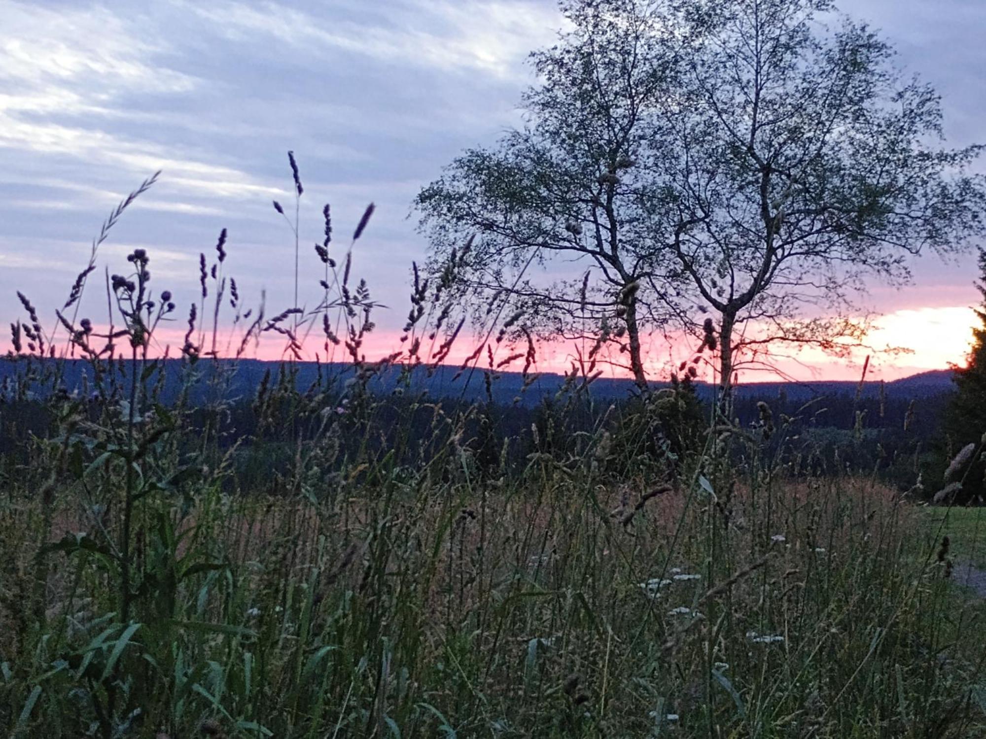 Chata S Vyhledem Jáchymov Dış mekan fotoğraf