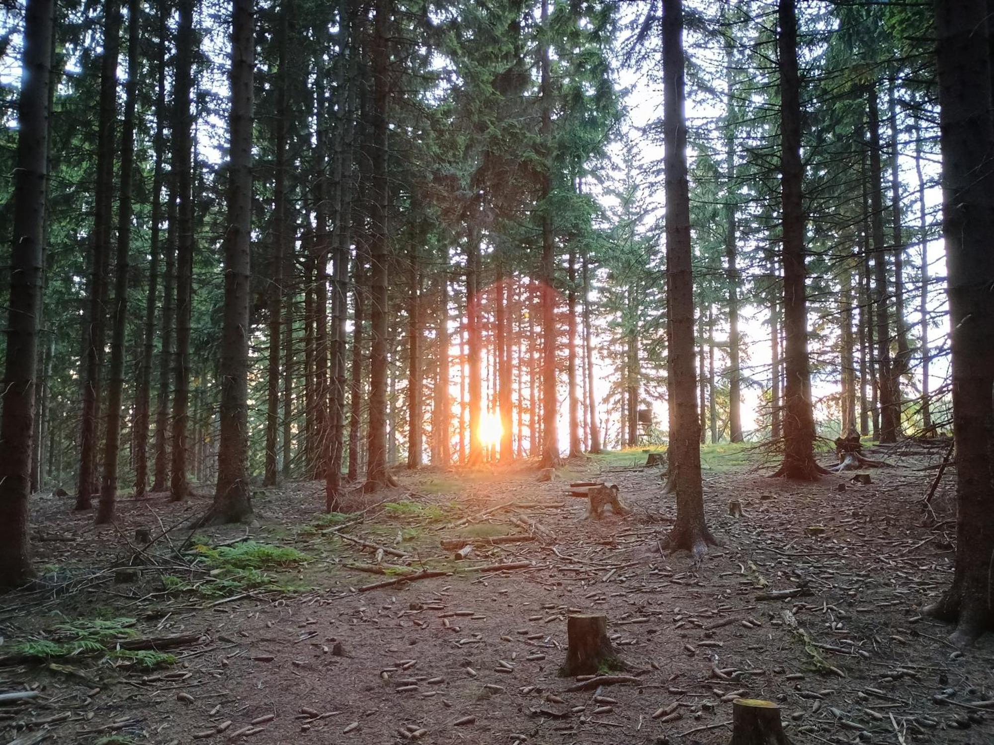 Chata S Vyhledem Jáchymov Dış mekan fotoğraf